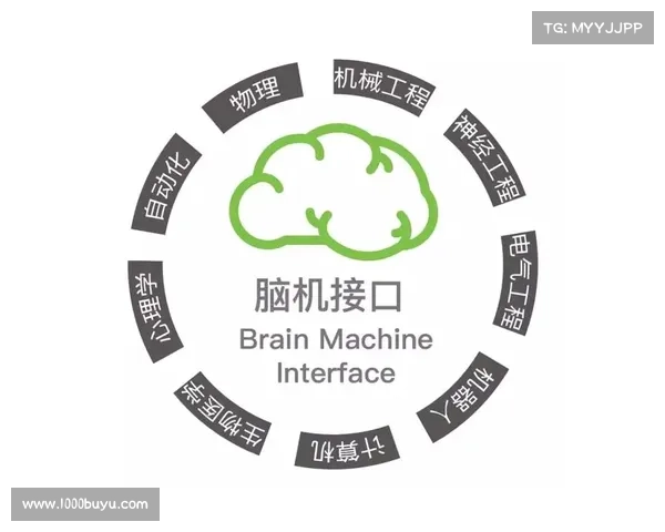 凤凰中文台深度解析全球热点新闻与文化动态,带你走进多元视角的精彩世界